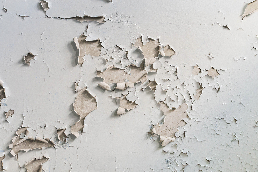 lead based paint testing